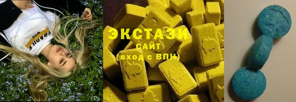 гашик Богородск