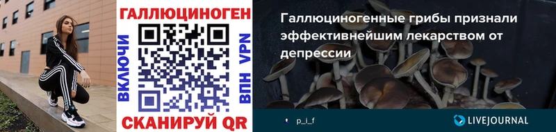 магазин продажи наркотиков  Краснознаменск  Псилоцибиновые грибы Cubensis 